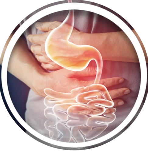 True Carbon Cleanse Benefits